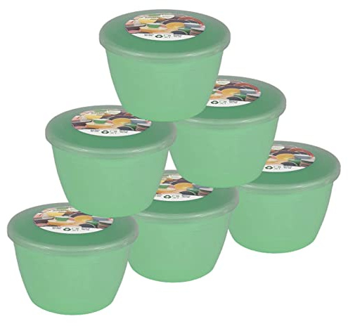 Just Pudding Basins Pastel Colours 1/2 Pint 0.5pt Basin and Clear Lid Pack of 6 Plastic Steaming Bowls Mint Green (Green)