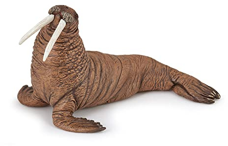 Papo - Realistische Walross-Figur - 3 Jahre + - Kollektion Meereswelt - Lernspiel Meeressäugetiere - Geschenkidee Spielzeug für Mädchen und Jungen