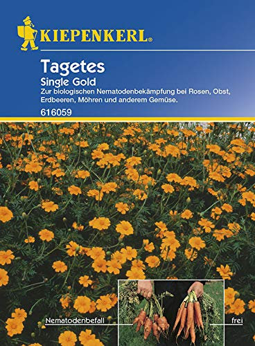 Kiepenkerl Tagetes Single Or