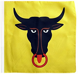 Flaggenfritze Flagge/Fahne Schweizer Kanton Uri - 30 x 30 cm