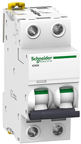 Schneider Electric A9F75225 Interruptor Automático Magnetotérmico Ic60N, 2P, 25A, Curva D