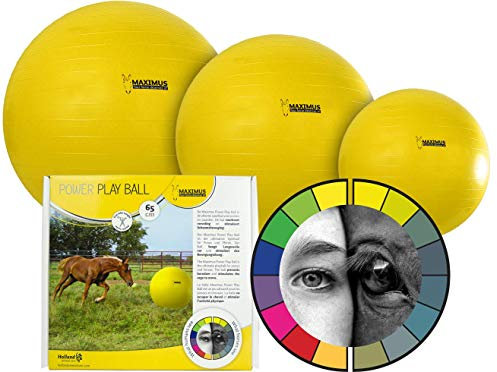 Hofman Maximus Power Play Ball - Spielzeug für Pferde - Gelb - 75 cm