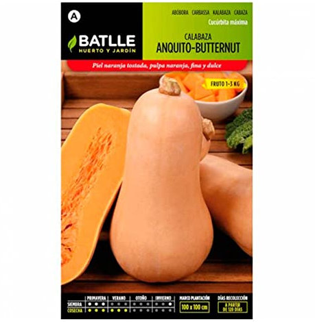 Semillas Batlle Citrouille Anquito-Butternut