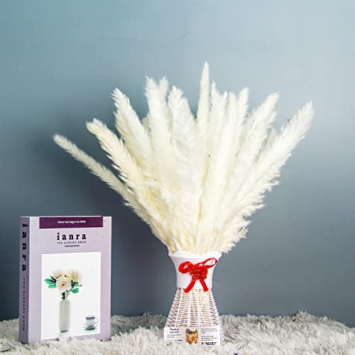 KUNSTIFY Pampasgras, Natürliches Trockenblumen Deko Set (30x weiß Pampas)