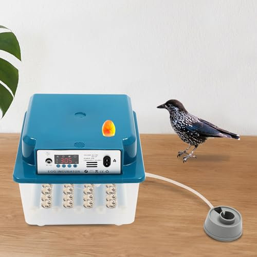 Brutmaschine 16 Eier, Inkubator, Hühner Brutautomat, Automatisches Wenden der Eier,Inkubatoren für Geflügeleier,Transparenter Eier-Inkubator für Zuchtanlagen, Labors, Bauernhöfe