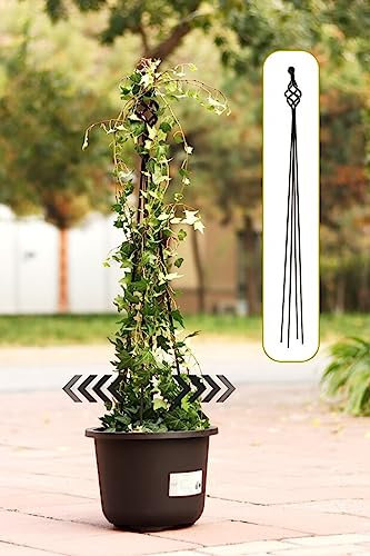 Garten-Obelisk-Spalier für Topf-Kletterpflanzen im Innen- und Außenbereich, 35,4/47,2/59 hohe Pflanzen-Spalier-Unterstützung für Kletterpflanzen, Gemüsepflanzen, Schwarz (Größe: 120 cm (47,2 Zoll