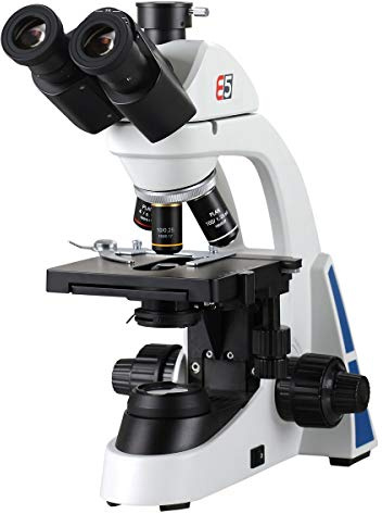 3B Scientific W30915 Microscopio Trinoculare TE5