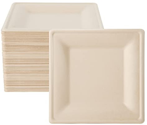 ECOLipak 100 Pack Compostable Square Plates, 10 inch Disposable Paper Plates Made of Sugacane, Eco-friendly Heavy Duty Biodegradable