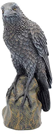 Nemesis Now Ravens Resto - Figura Decorativa (20 cm), Color Negro