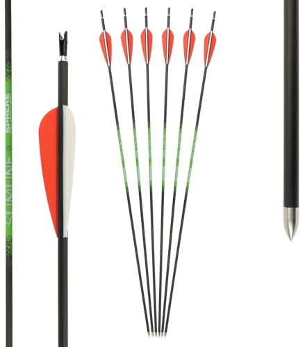 6er Pack, Carbonpfeil, Sphere Slimline Pro, mit Vanes (15-35 lbs)