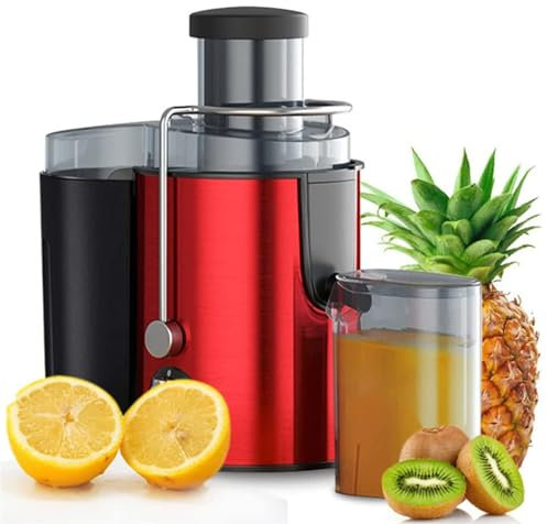 Cold Press Vertical Juicer Machine, Slow Masticating Juicer Extractor Professional Machine Dual Speed for High Nutrient Vegetable & Fruit