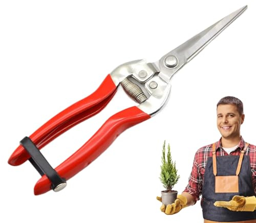 Sécateur de Jardin - Ciseaux en Acier Inoxydable Robuste - Outils de Taille pour Fleurs, s, Arbres Fruitiers, Vignes et Agrumes avec Lames de Récolte Durables