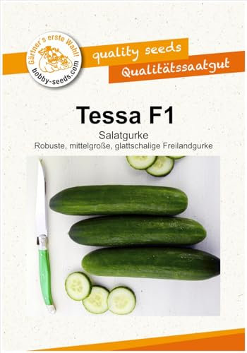 Gurkensamen Tessa F1 Salatgurke Portion