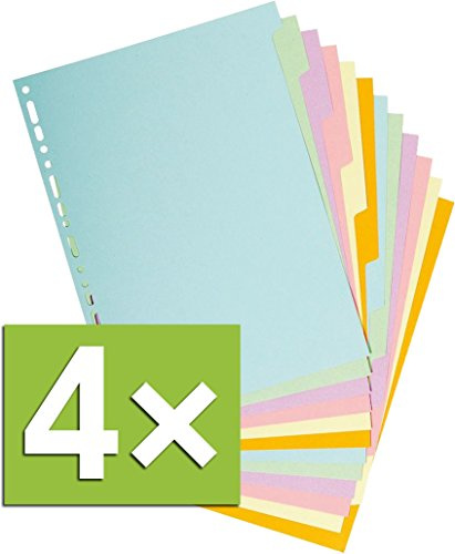 Registro Forever Recy.kart. f.a4 12 Tabs, 12 Tabs, Multi-Colour Pastel, 4