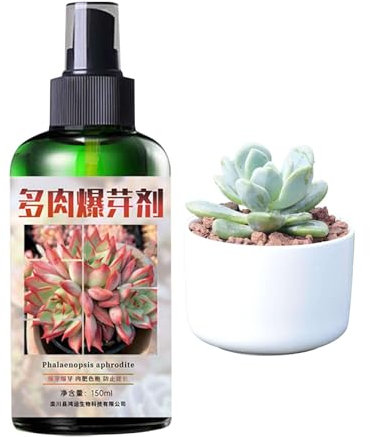 Alimento per piante di cactus succulente, fertilizzanti succulenti per piante in vaso da interno | Fertilizzante per piante alimentari per cactus | Spray succulento per piante da interno, stimolatore