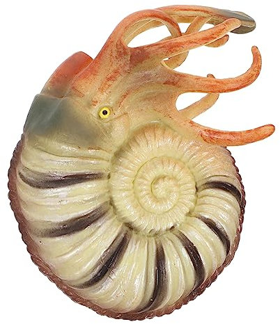 MAJORMENCH Animals Nautilus Figurine Realistic Sea Creature Model for Aquarium Decoration Educational Toy for Boys and Girls Safe Material for Home Decor and Learning