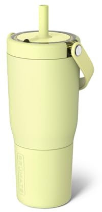 BrüMate Resa 750ml Tumbler with Straw and Lid | 25oz Metal Water Bottle with Handle | 100% Leakproof | Insulated Cup | Stainless Steel Travel Gym Mug | Keeps Drinks Ice-Cold All Day (Prickly Pear)