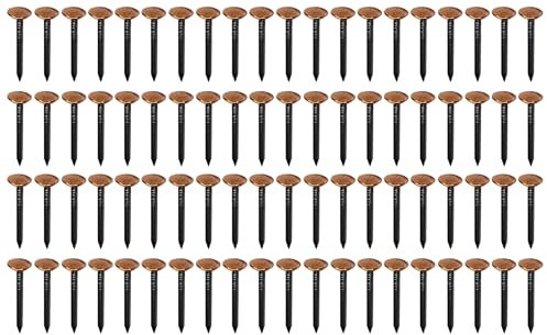 cyclingcolors 100x chiodi chiodini in acciaio con testa larga in rame fissaggio fotografie quadri ai muri decorativo, 2x25mm