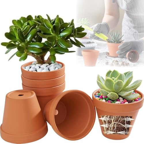 Cerkkapo Vaso in terracotta Ø 12 cm, set da 6 vasi in terracotta, vasi in argilla con foro di scarico, piccoli vasi in terracotta per lavori fai da te, vaso in terracotta riutilizzabile, per interni