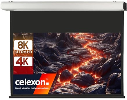 celexon Expert XL Motor-Leinwand 180 | 400x225 cm 16:9 | elektrische 4K, Full-HD Installations-Leinwand für jahrelange Projektionsfreude mit Ihrem Beamer | zur Decken- & Wandmontage