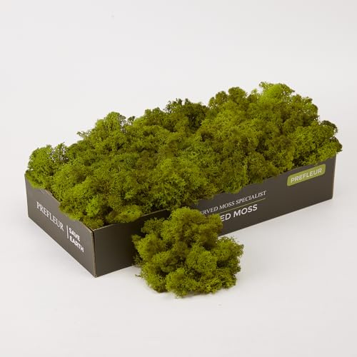 prefleur Preserved Reindeer Craft Moss Natural Green DIY Kit Gardenning Art Wall Florist Easter Table Decor Wedding Decor (0.85lb) (Green-08)