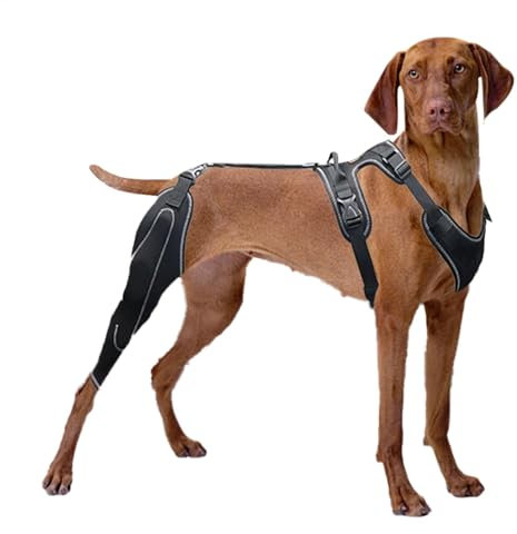 Hunde-Kniebandage – Hundebeinbandage | Beinstütze für Hunde | Hundekniebandage für Kreuzband | Hundebeinstütze Rückenbeinstütze, Hundebeinstütze, CCL | Verstellbare Stützbandage für mittelgroße und