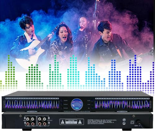 Audio Equalizer Stereo Graphic Equalizer with 10 Preset Effects, Dual Channel, 1U Rack Mount, Automatic Noise Reduction for Recording Studio