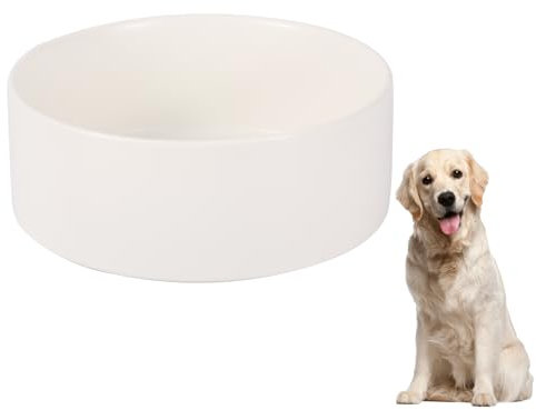 Elevated Dog Bowls - Large Dogs, Raised Feeding Bowl with Non Slip Stand, Heavy Weighted Ceramic, Splash Proof Guard, Extra Wide Dish - 60 oz (7.6 cups)