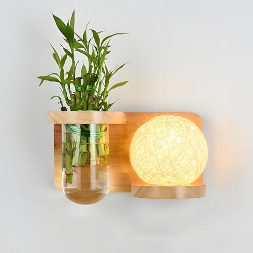 Svetilnikya Natürliche Wandleuchte Holz mit Glasflaschen (für Hydrokultur), Pflanzendeko Wandleuchten für Innen für Wohnzimmer & Flur, Öko Wandlampe Holz mit Blumentopf-Funktion (B)