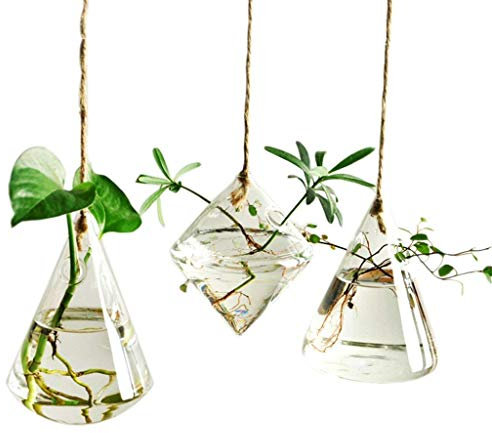 Candora Irregular Geometric Vase Glass Vessel Hanging Planters Flower Pots/water Planter Vase Set Including 3 Pieces with Strings