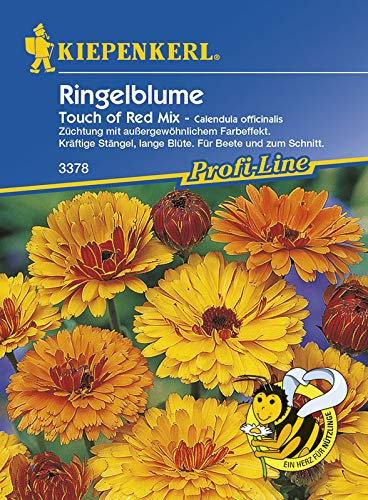 Saatgut Ringelblumen Touch of Red Mix