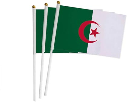 Lot 20 Drapeaux Algérie Manivelle Portables