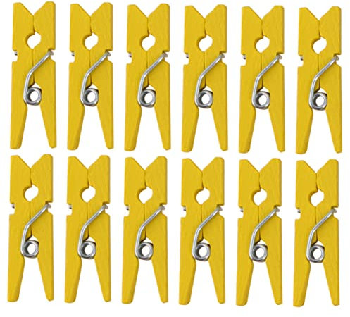 AOKWAWALIY 300 clip per foto in legno, piccole mollette in legno, mollette per bucato in legno, mollette per il fai da te, clip in legno, clip in legno, clip da appendere, doppia squadra, bambù