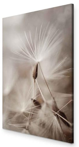 murando - Akustikbild Pusteblumen Bilder Hochleistungsschallabsorber Schallscz Leinwand Akustikdämmung 1 tlg Wandbild Raumakustik Schalldämmung Blumen Natur Botanik n b-C-0963-b-a