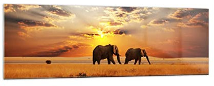 Vidrios decorativos 160x50cm Cuadro Sobre Vidrio Moderno Elefantes Safari selva arbusto Grande XXL Cuadros Pared Impresiones Decoracion Salon Impresión en Cristal Wall Art Prints GAB160x50-3150
