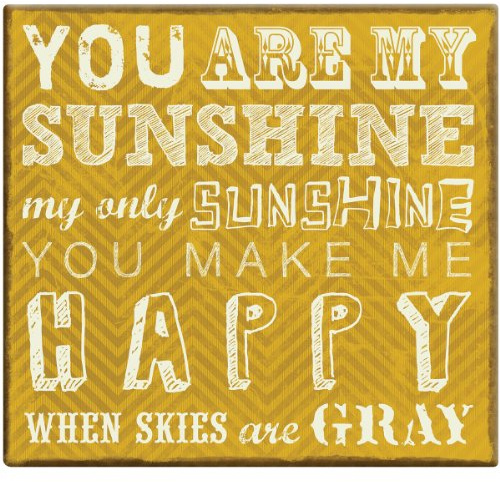 MCS Expressions Collection Expandable 10-Page Scrapbook Album with 12 x 12 Inch Pages, 13.5 x 12.5 Inch, You Are My Sunshine