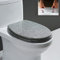 TISTIK Glitzer Toilettensitz, WC Sitz Mit Absenkautomatik, Toilettendeckel Aus Harz, Klodeckel Hochwertige Qualität Toilettenbrille, Antibakteriell Klodeckel, WC Deckel Oval,Silber