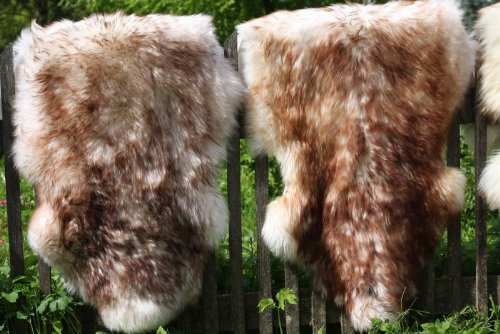 Hollert Lammfell Stracciatella 110-120 cm echtes Merino Schaffell kuschelig weich Teppich ökologische Gerbung von Deutschen Schäfereien Naturform Dekofell Premium Schaffell Läufer Sitzunterlage