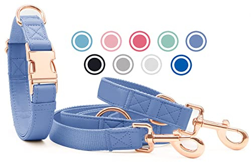 Weich Leder Hundehalsband und Leine (2m) Set - 3-Fach Verstellbar Hundeleine mit Halsband, Stilvollen Rose Gold Metall Schnalle & Nylon Hund Leinen für Welpen Kleine Mittlere Große Hunde Violett,XS