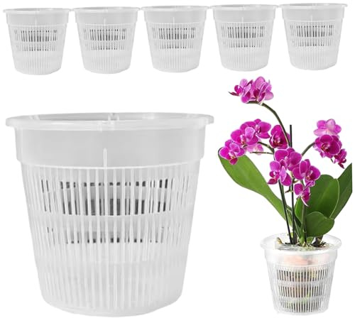Ferricult Vasi per orchidee Confezione da 6, fioriera in plastica per orchidee da 5, 5 pollici per rinvaso, vasi trasparenti per vivaio con drenaggio, decorazioni per la casa