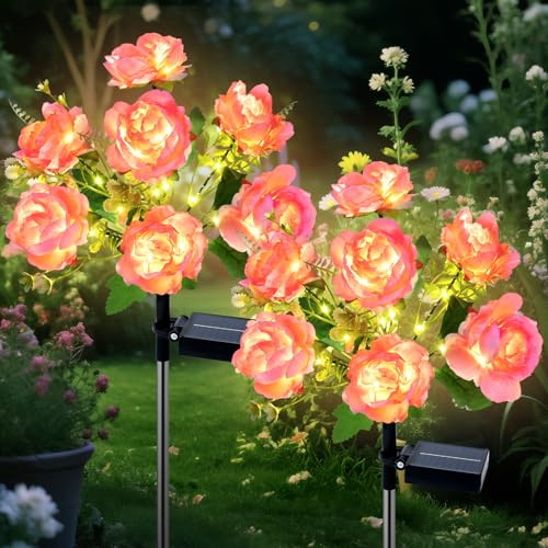 Lampe Solaire Exterieur Jardin, 2 Piéces Lumière en Pivoine avec LED Blanc Chaud, 8 Modes Décoration Jardin Extérieur Solaire Étanche, Éclairage Solaires Deco pour Patio Allée Cour Porche Noël