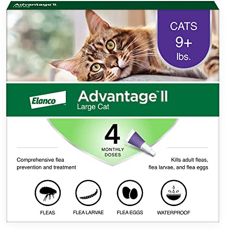 Advantage II Large Cat Vet-Recommended Flea Treatment & Prevention | Cats Over 9 lbs. | 4-Month Supply