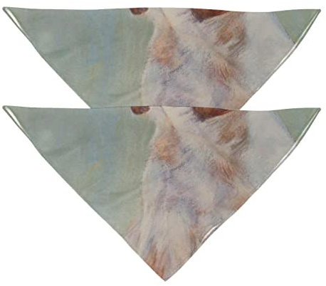 Labrador Retriever Hundehalstücher, 2 Stück, Chiffon-Halstücher, dreieckig, für kleine, mittelgroße und große Hunde, Welpen, Haustiere