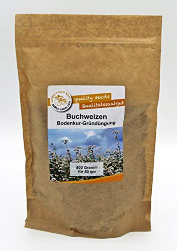 Bodenkur Buchweizen - einjährige Gründüngung/Insektenweide 500 Gramm