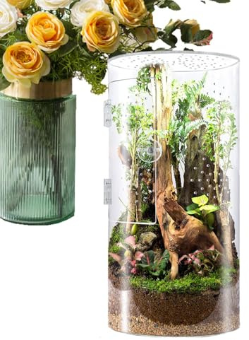 Jaulas acrílicas para reptiles, tanque arbóreo impermeable con puerta frontal de fácil acceso, recinto para arañas saltarinas, tarántula, mantis, pantalla botánica, hábitat seguro de invertebrados