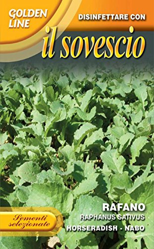 SEMENTI DI PIANTE DESTINATE AL SOVESCIO IN CONFEZIONE DA 100 GR (RAFANO)