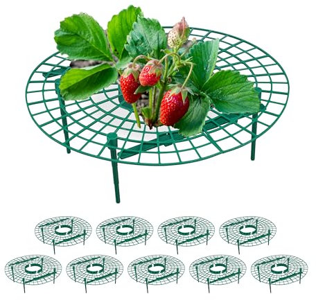 Relaxdays Set da 10 Anelli di Supporto per Fragole, Sostegno in Plastica per Piante da Orto, Rete Anti Muffa, Verde, 10 x 30 cm