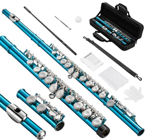 POGOLAB Flute, Closed-Hole C Flute 16 Keys, Student Flute with Offset-G, with Flute Case/Flute Cleaning Kit/Probe Rod/Gloves/Grease, Nickel Flute for School Band Practice-Skyblue