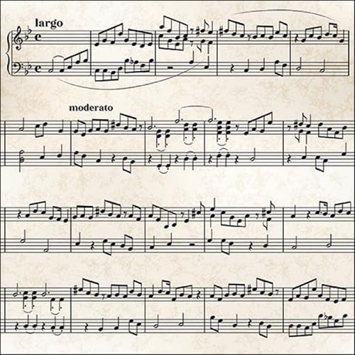 20 Servietten Musik Noten spielen als Tischdeko. Papierservietten mit Motiv. Auch für Decoupage und Serviettentechnik 33x33cm
