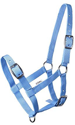 Start Fohlenhalfter – Verstellbares Pony Halfter für Mini Shetty & Fohlen – Weiches & Robustes Halfter für Fohlen mit Aufschrift „I Love My mini” – Komfortabel & langlebig (Hellblau, Foal)